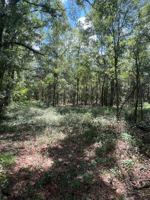 Property photo for 16958 NW US HWY 441 HIGHWAY NW, High Springs, FL