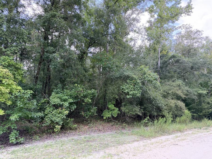 Property photo for 0 NE 756 STREET, Old Town, FL