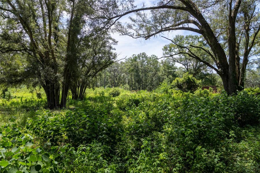 Property photo for 239 SW CANDI COURT, Fort White, FL