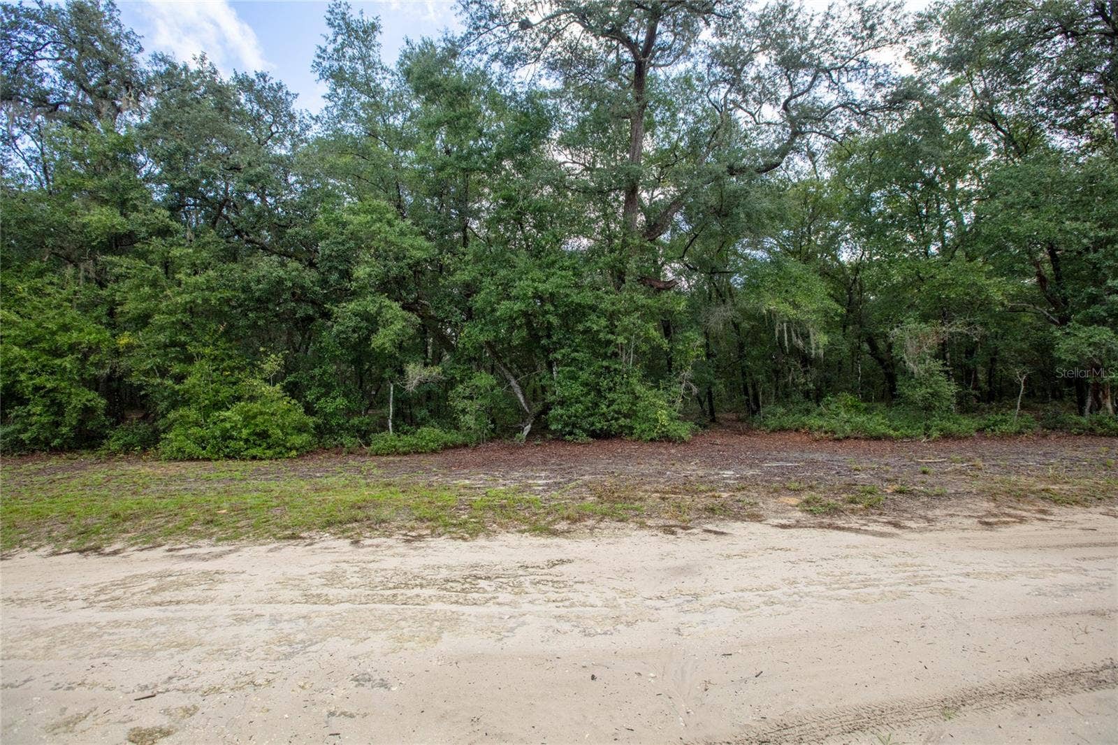 5590 JENKINS LOOP DRIVE, Keystone Heights, FL 32656 5590 JENKINS LOOP DRIVE, Keystone Heights, FL 32656