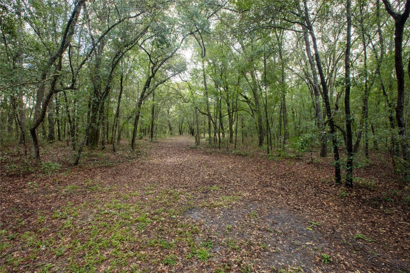 5590 JENKINS LOOP DRIVE, Keystone Heights, FL 32656 5590 JENKINS LOOP DRIVE, Keystone Heights, FL 32656