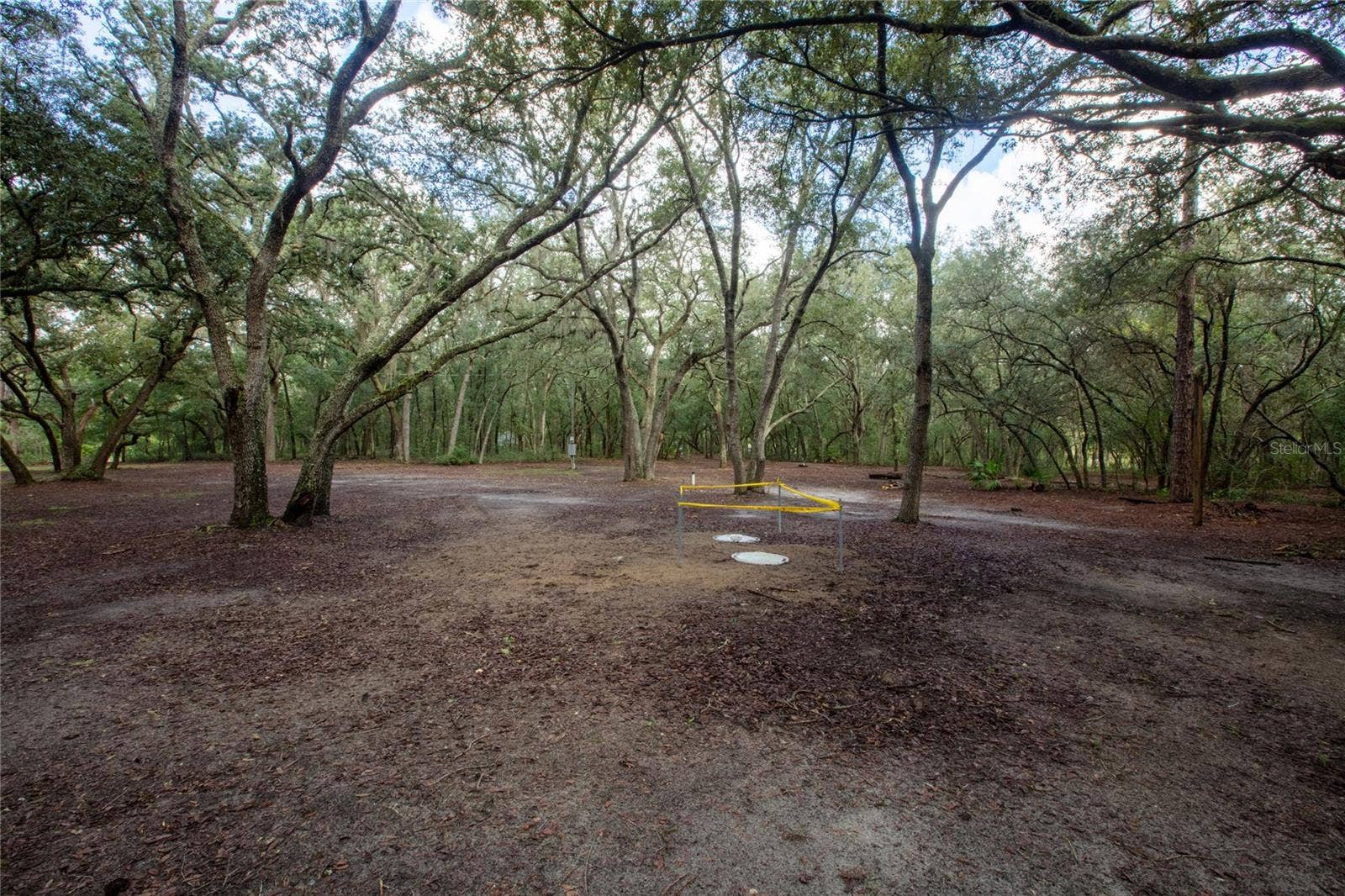 5590 JENKINS LOOP DRIVE, Keystone Heights, FL 32656 5590 JENKINS LOOP DRIVE, Keystone Heights, FL 32656