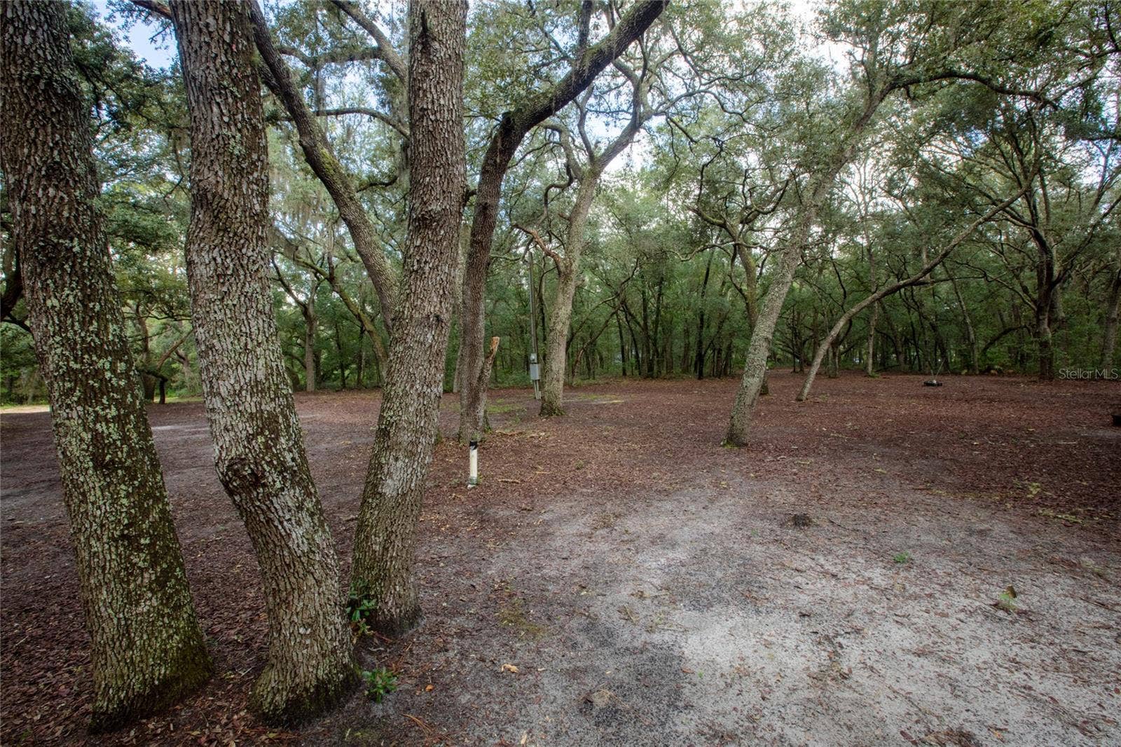 5590 JENKINS LOOP DRIVE, Keystone Heights, FL 32656 5590 JENKINS LOOP DRIVE, Keystone Heights, FL 32656