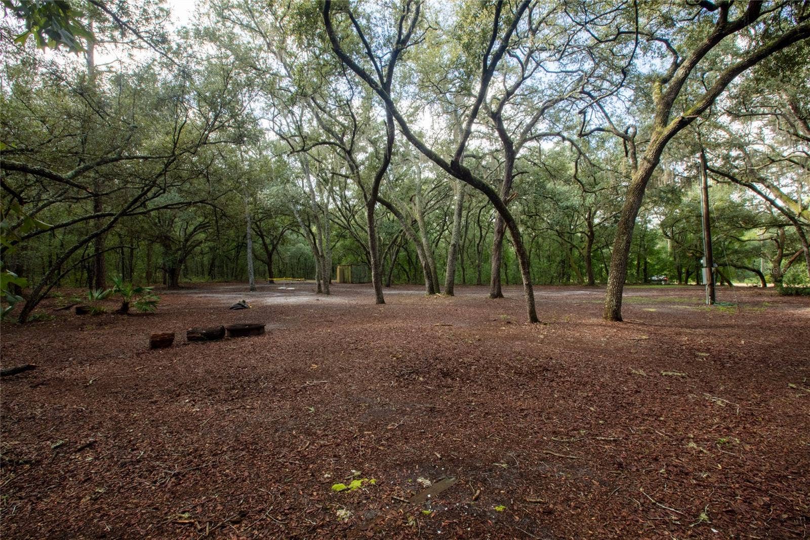 5590 JENKINS LOOP DRIVE, Keystone Heights, FL 32656 5590 JENKINS LOOP DRIVE, Keystone Heights, FL 32656