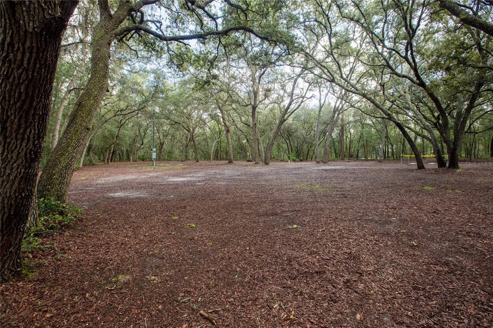 5590 JENKINS LOOP DRIVE, Keystone Heights, FL 32656 5590 JENKINS LOOP DRIVE, Keystone Heights, FL 32656
