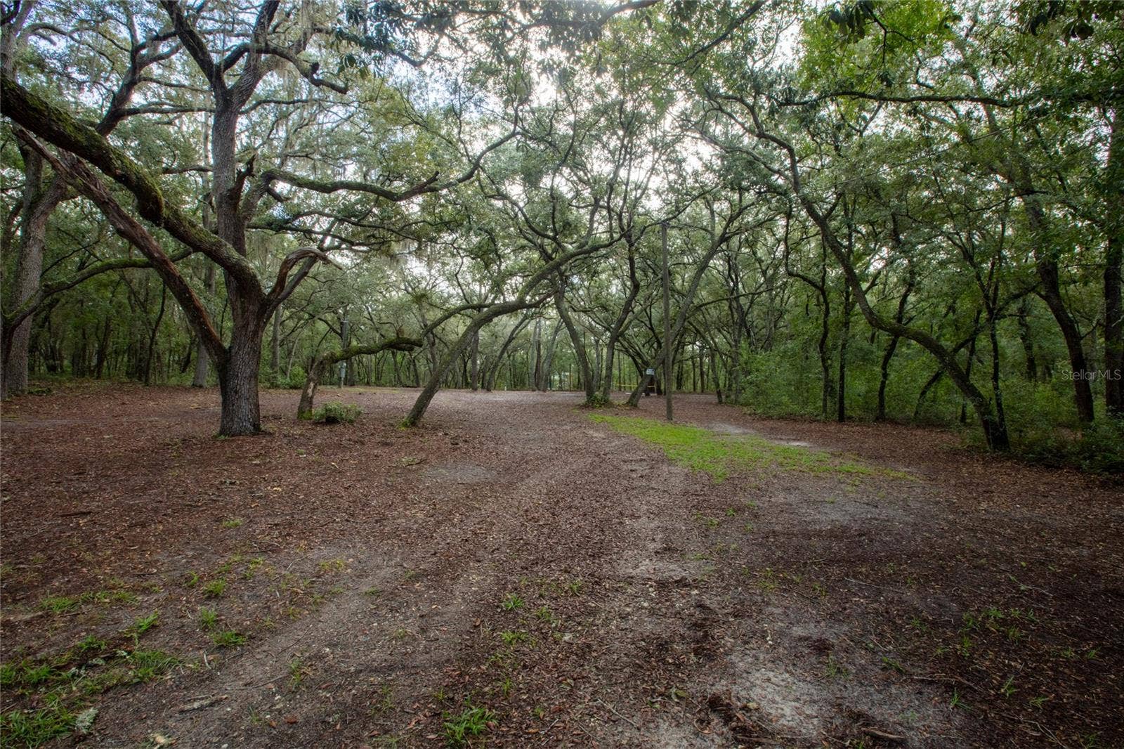 5590 JENKINS LOOP DRIVE, Keystone Heights, FL 32656 5590 JENKINS LOOP DRIVE, Keystone Heights, FL 32656