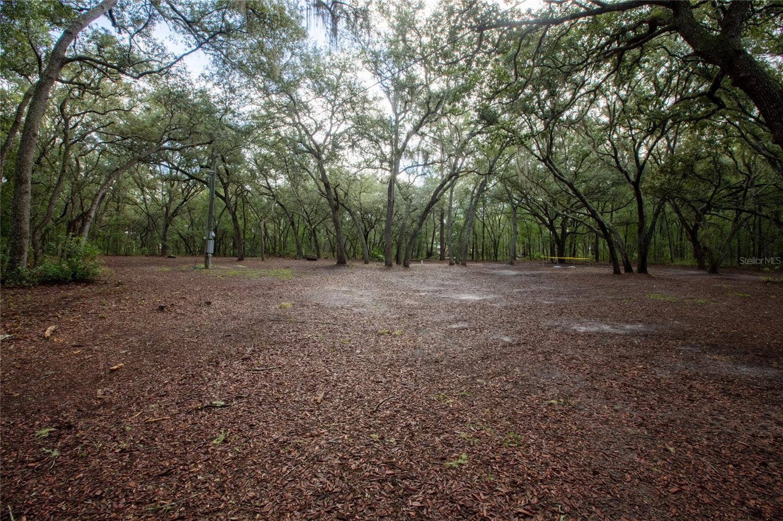 5590 JENKINS LOOP DRIVE, Keystone Heights, FL 32656 5590 JENKINS LOOP DRIVE, Keystone Heights, FL 32656