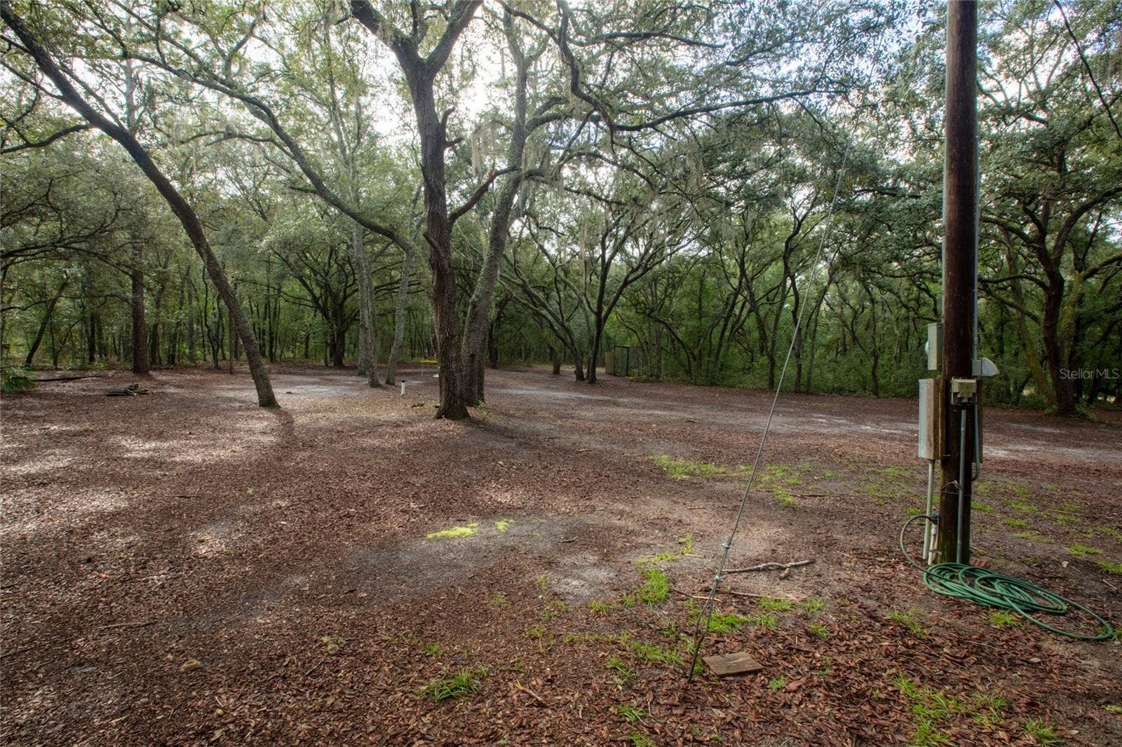 5590 JENKINS LOOP DRIVE, Keystone Heights, FL 32656 5590 JENKINS LOOP DRIVE, Keystone Heights, FL 32656