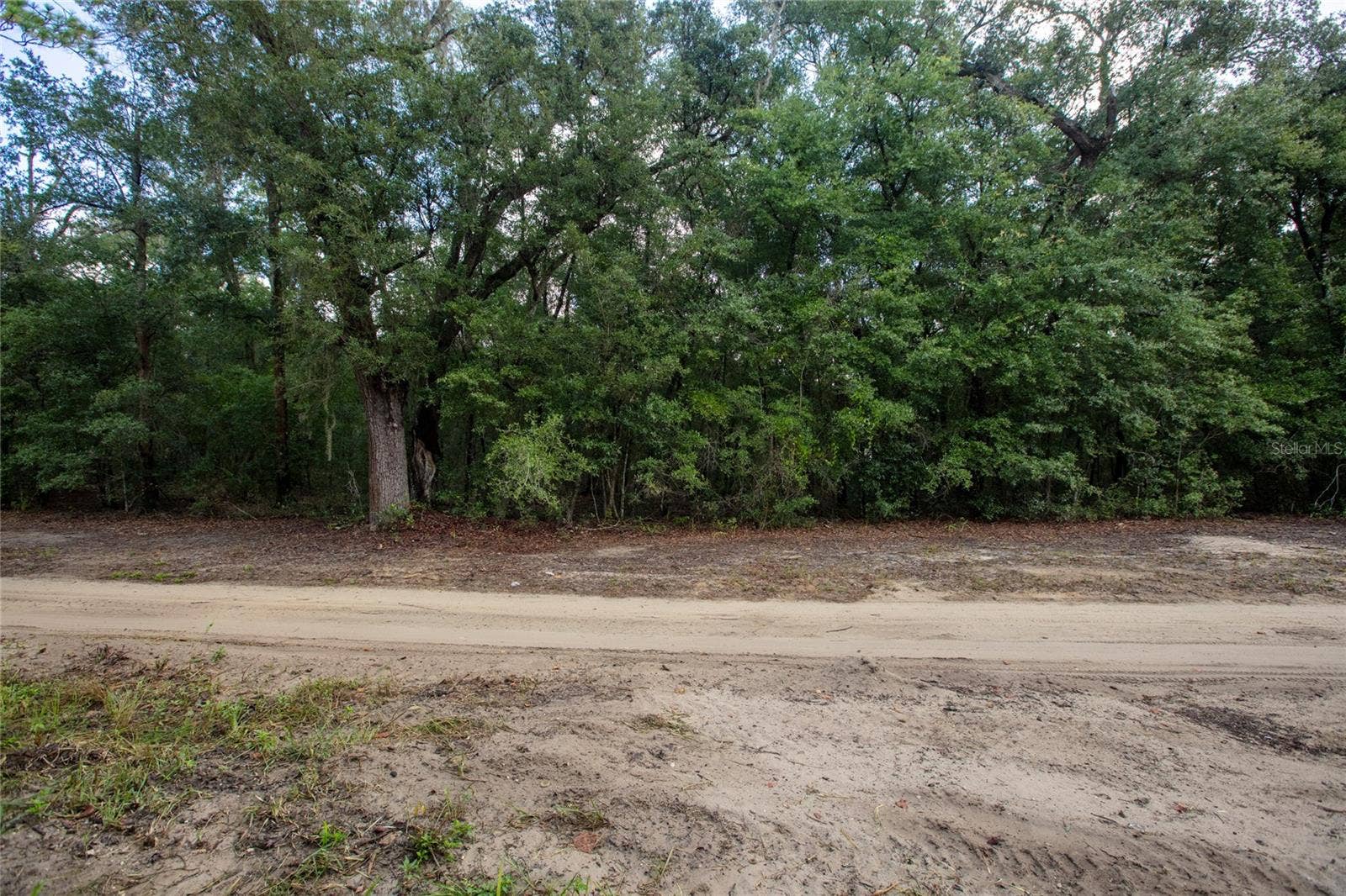 5590 JENKINS LOOP DRIVE, Keystone Heights, FL 32656 5590 JENKINS LOOP DRIVE, Keystone Heights, FL 32656