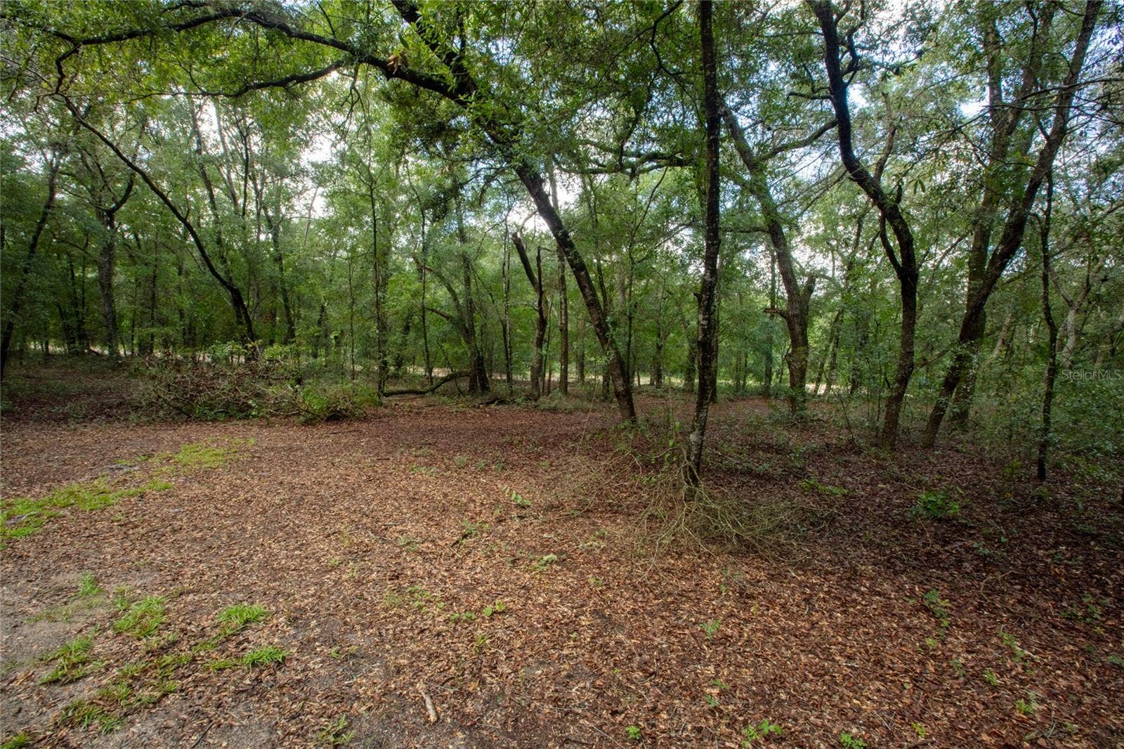 5590 JENKINS LOOP DRIVE, Keystone Heights, FL 32656 5590 JENKINS LOOP DRIVE, Keystone Heights, FL 32656