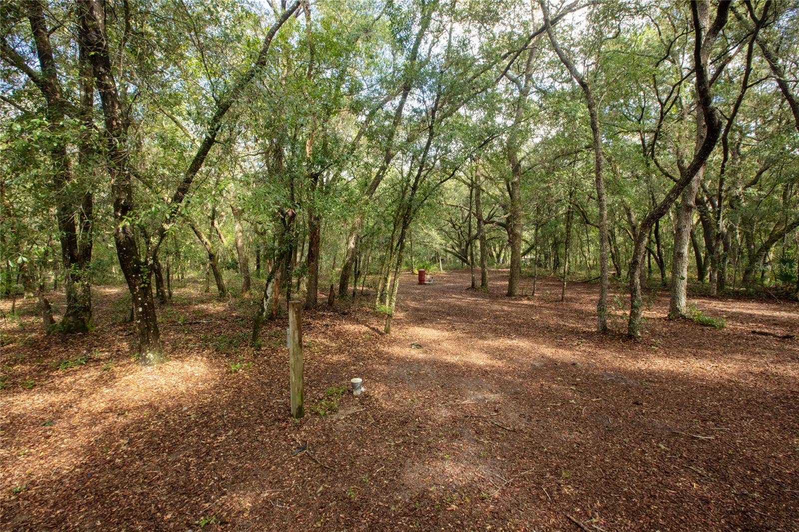 5590 JENKINS LOOP DRIVE, Keystone Heights, FL 32656 5590 JENKINS LOOP DRIVE, Keystone Heights, FL 32656
