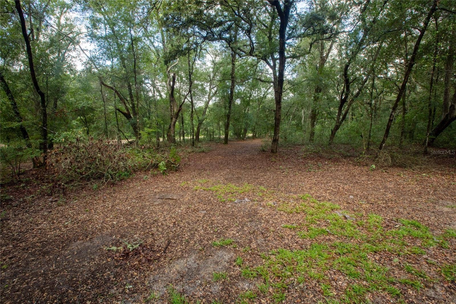 5590 JENKINS LOOP DRIVE, Keystone Heights, FL 32656 5590 JENKINS LOOP DRIVE, Keystone Heights, FL 32656