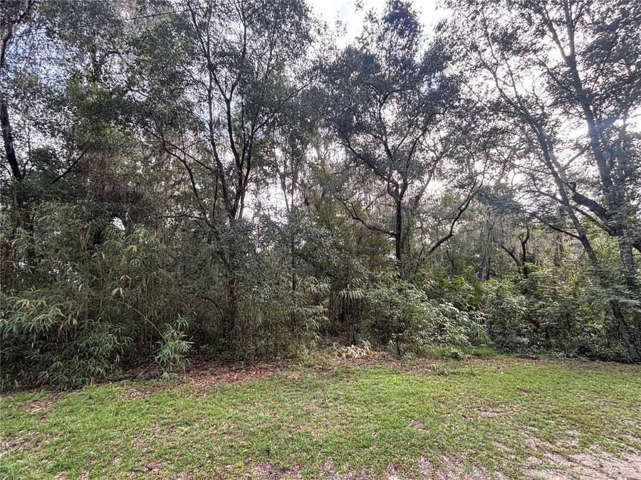 Property photo for 190 SHE SHE ROAD, Hawthorne, FL