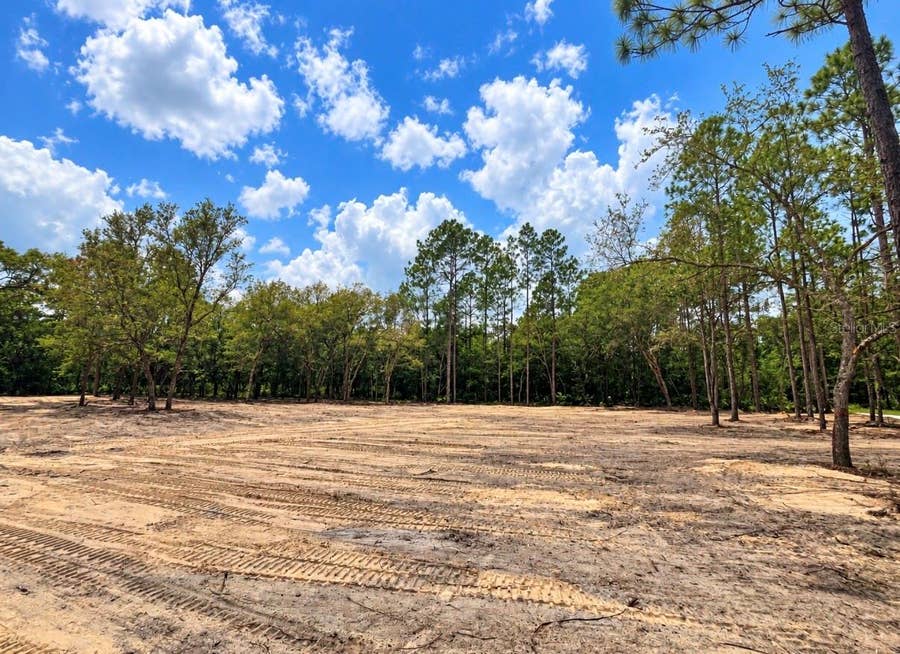 Property photo for TBD NE 88TH LANE, Bronson, FL