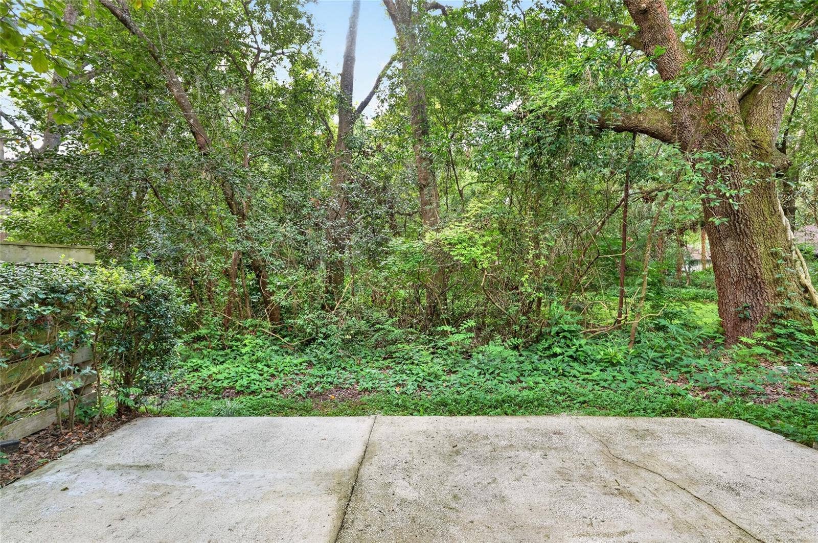 4411 BLACK FOREST WAY, Gainesville, FL 32605 view from back patio