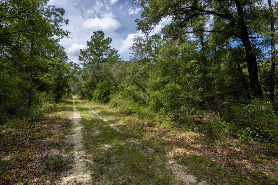 Property photo for 0 NE 81ST STREET, Bronson, FL