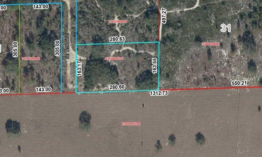 Property photo for TBD NE 123RD AVE, Williston, FL