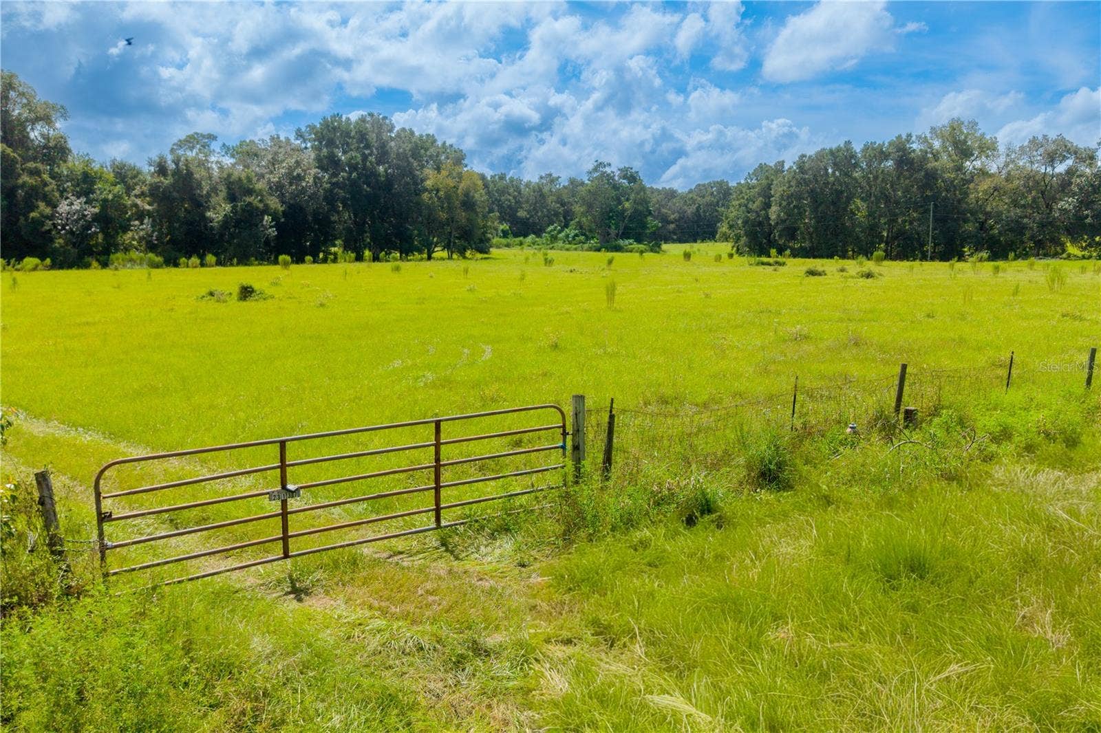23137 NW COUNTY ROAD 236, High Springs, FL 32643