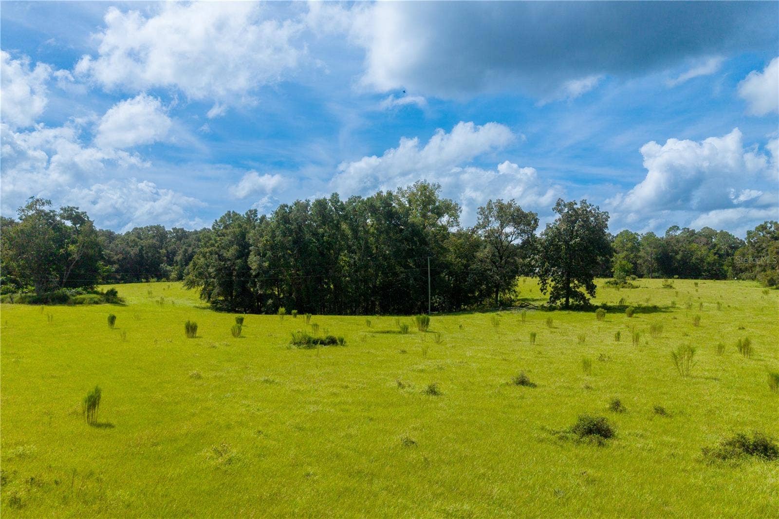 23137 NW COUNTY ROAD 236, High Springs, FL 32643
