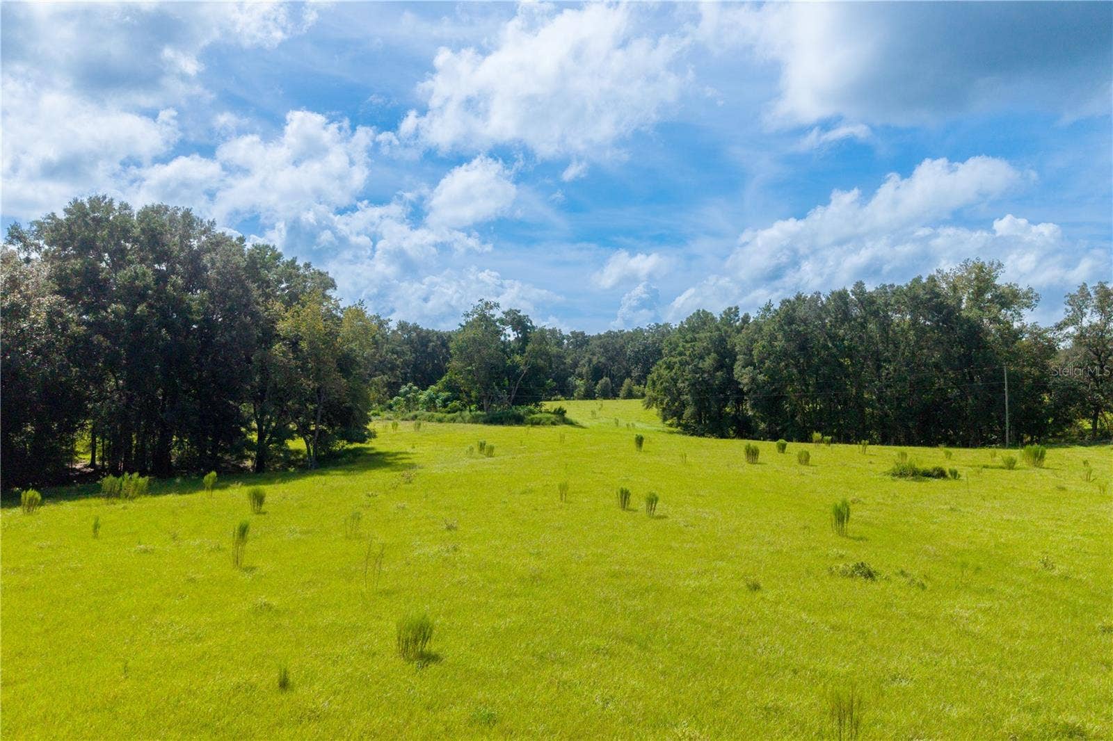 23137 NW COUNTY ROAD 236, High Springs, FL 32643