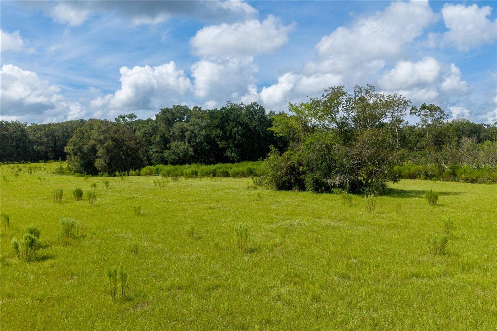 23137 NW COUNTY ROAD 236, High Springs, FL 32643