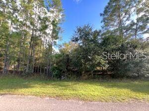 Property photo for 405 PANDORA DRIVE, Indian Lake Estates, FL