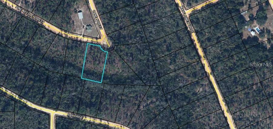 Property photo for TBD PINE NEEDLE STREET, Marianna, FL