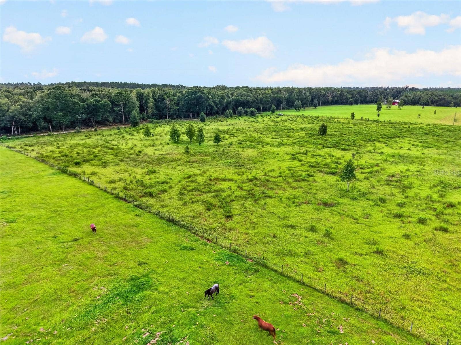 0 173RD RD, Live Oak, FL 32060