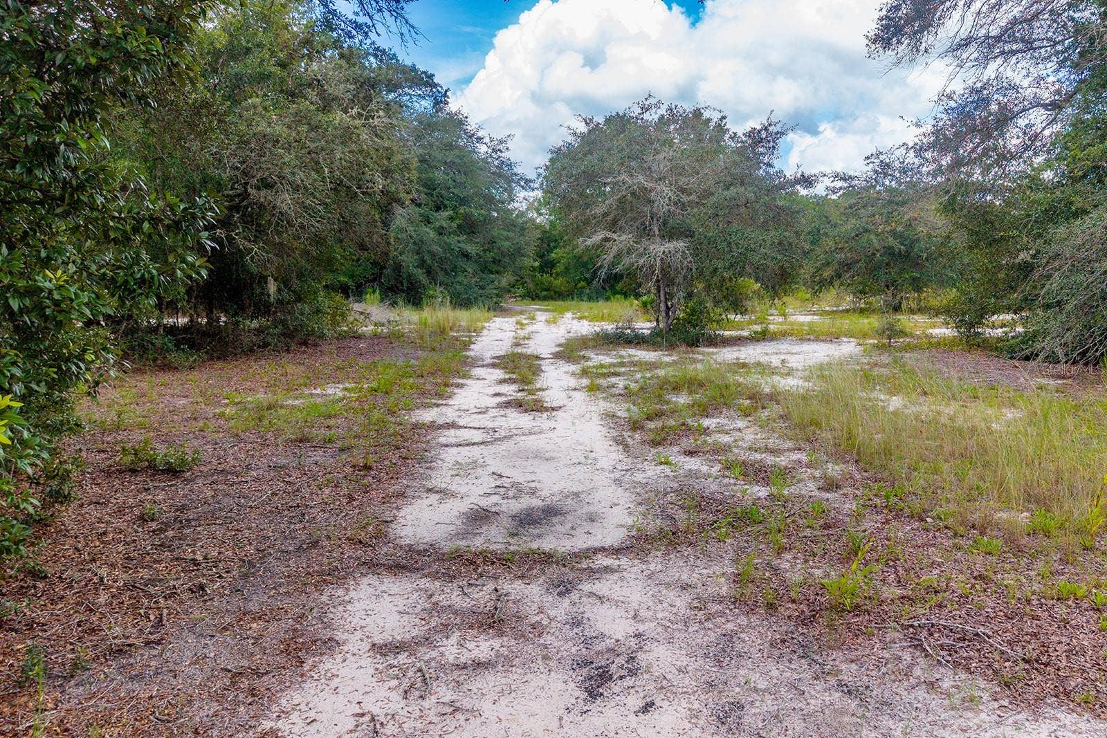 220 NE 108TH LANE, Branford, FL 32008 220 NE 108TH LANE, Branford, FL 32008