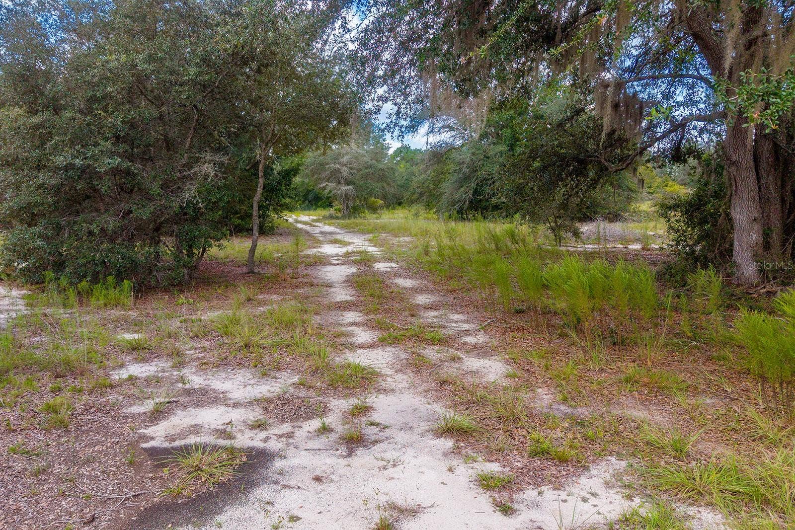 220 NE 108TH LANE, Branford, FL 32008 220 NE 108TH LANE, Branford, FL 32008