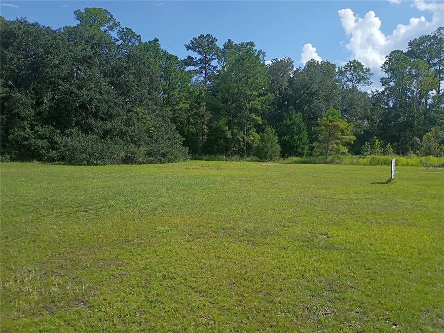 Property photo for TBD NE US HIGHWAY 301, Waldo, FL