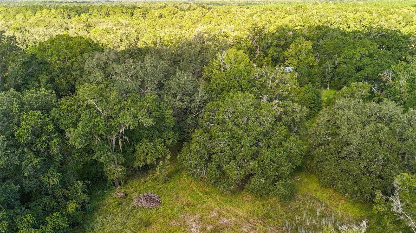 3526 SE 171ST STREET, Hawthorne, FL 32640