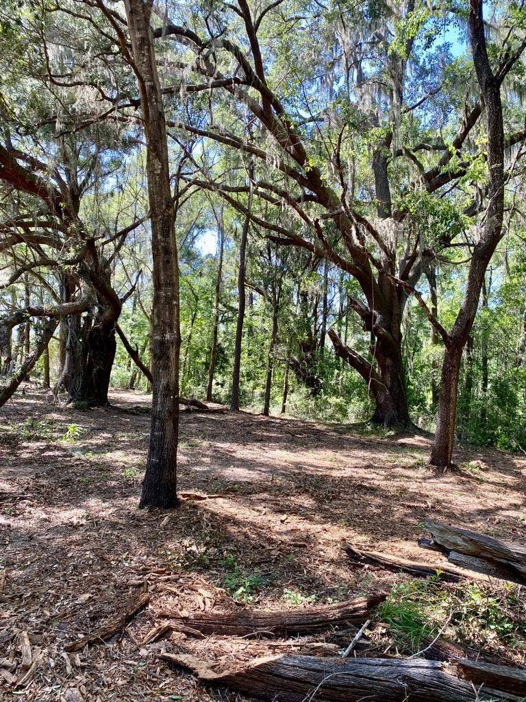 TBD NW 134TH DRIVE, Alachua, FL 32615 TBD NW 134TH DRIVE, Alachua, FL 32615