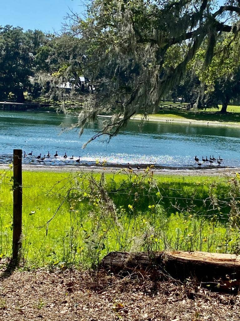 TBD NW 134TH DRIVE, Alachua, FL 32615 TBD NW 134TH DRIVE, Alachua, FL 32615
