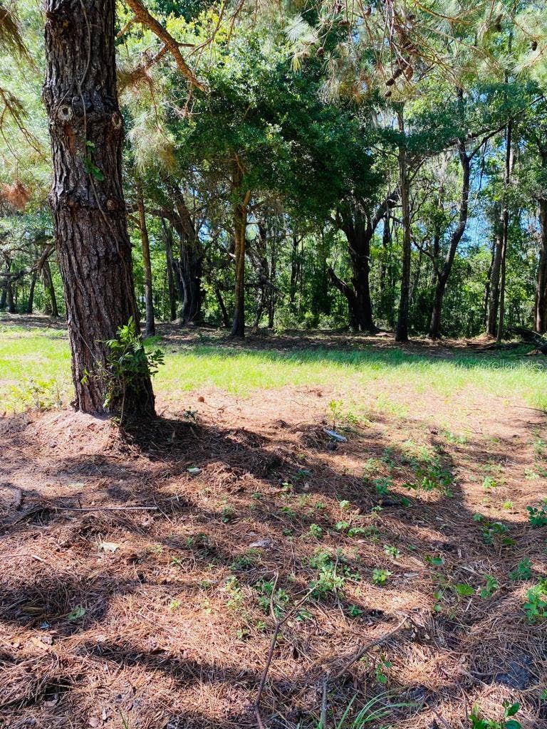 TBD NW 134TH DRIVE, Alachua, FL 32615 TBD NW 134TH DRIVE, Alachua, FL 32615