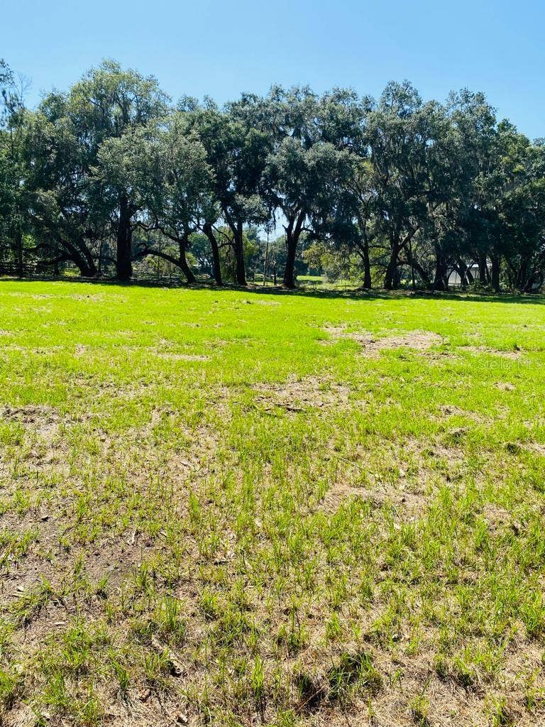 TBD NW 134TH DRIVE, Alachua, FL 32615 TBD NW 134TH DRIVE, Alachua, FL 32615
