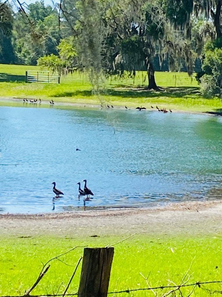 TBD NW 134TH DRIVE, Alachua, FL 32615 TBD NW 134TH DRIVE, Alachua, FL 32615