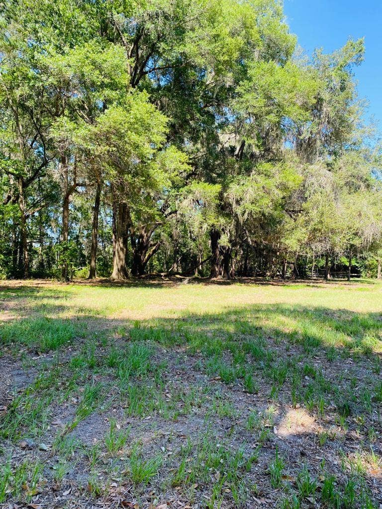 TBD NW 134TH DRIVE, Alachua, FL 32615 TBD NW 134TH DRIVE, Alachua, FL 32615