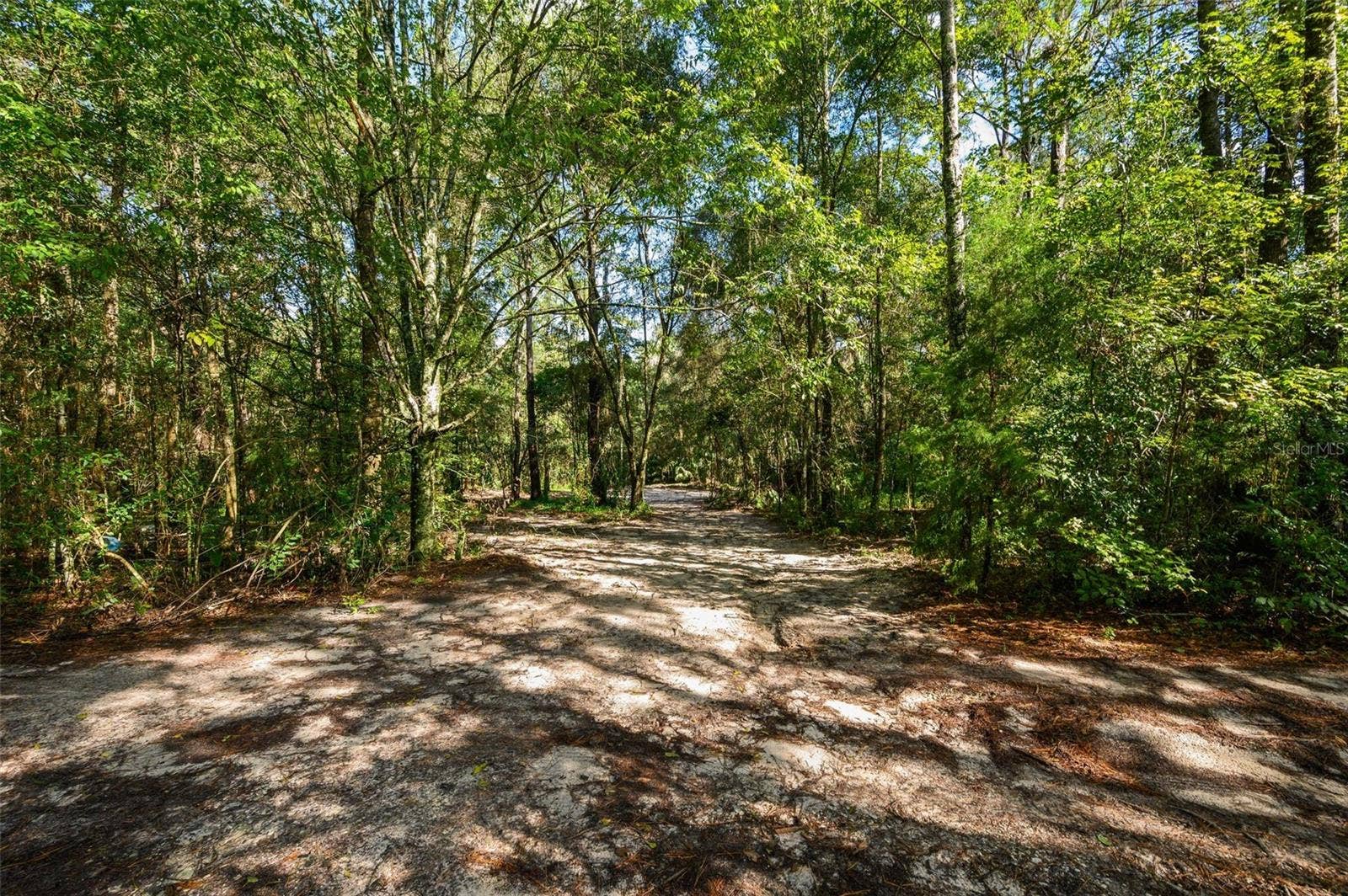 3426 SE 185TH AVENUE, Micanopy, FL 32667 3426 SE 185TH AVENUE, Micanopy, FL 32667