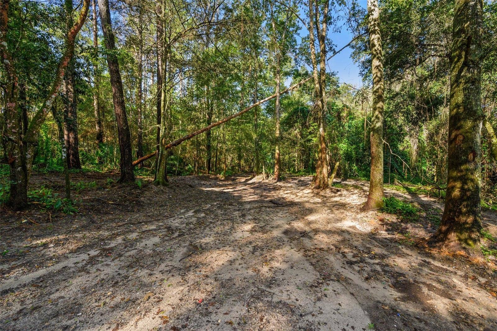 3426 SE 185TH AVENUE, Micanopy, FL 32667 3426 SE 185TH AVENUE, Micanopy, FL 32667