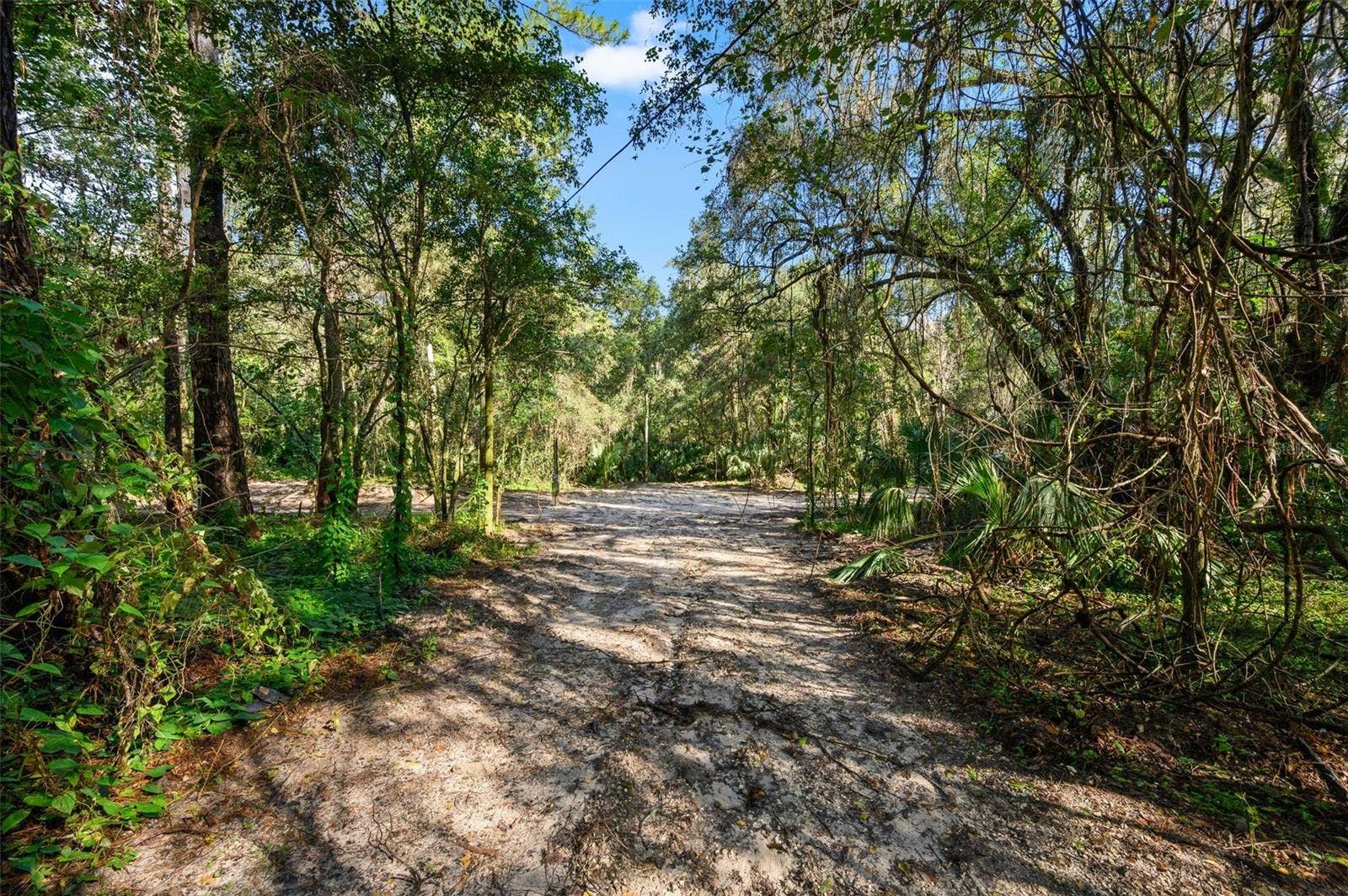 3426 SE 185TH AVENUE, Micanopy, FL 32667 3426 SE 185TH AVENUE, Micanopy, FL 32667