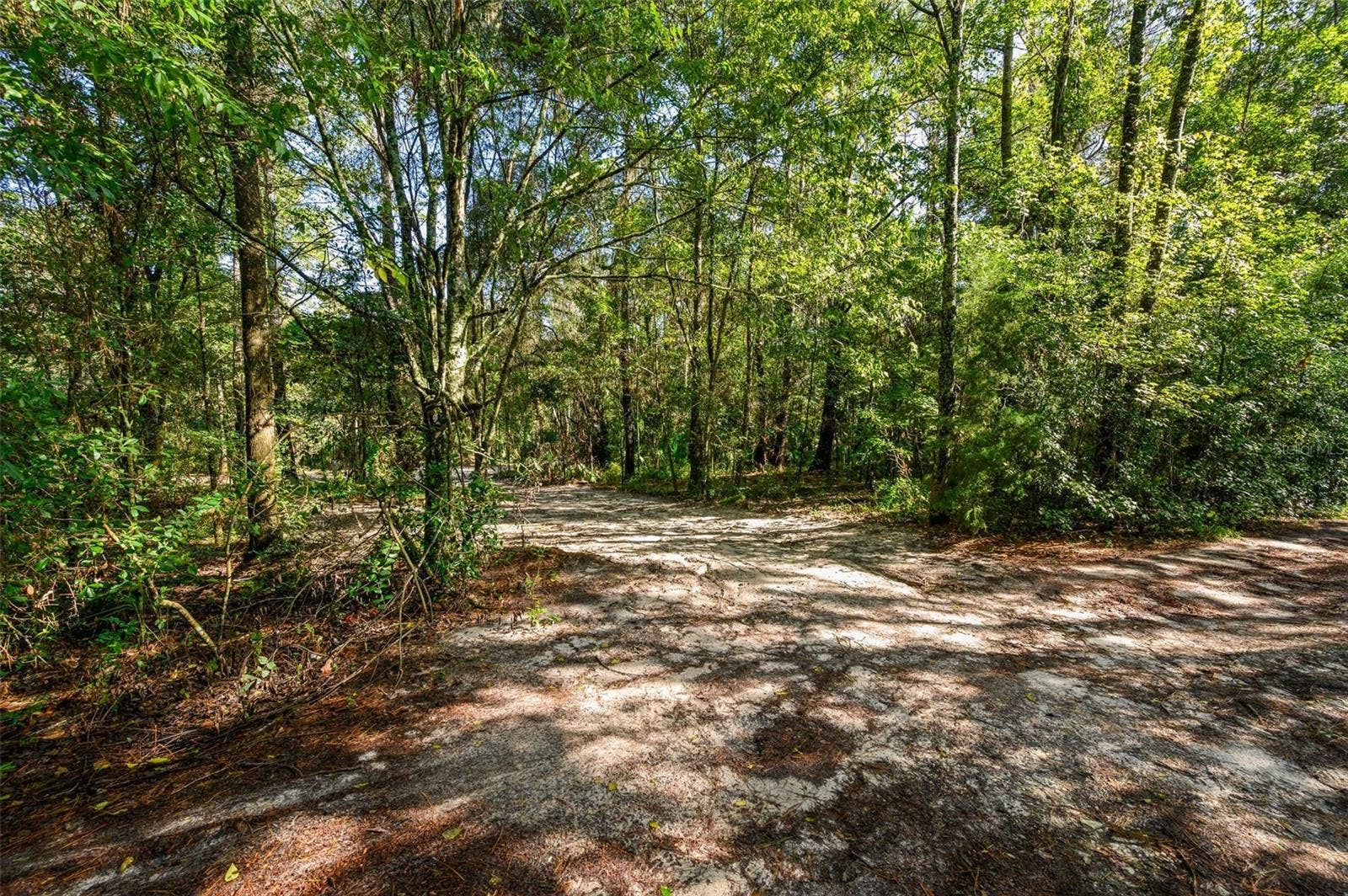 3426 SE 185TH AVENUE, Micanopy, FL 32667 3426 SE 185TH AVENUE, Micanopy, FL 32667