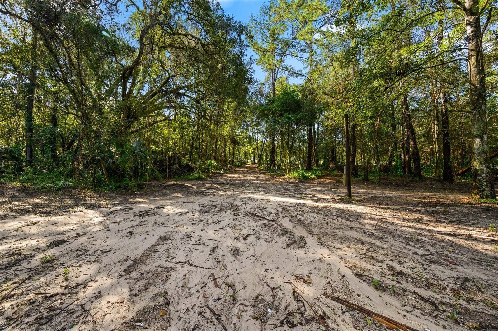 3426 SE 185TH AVENUE, Micanopy, FL 32667 3426 SE 185TH AVENUE, Micanopy, FL 32667