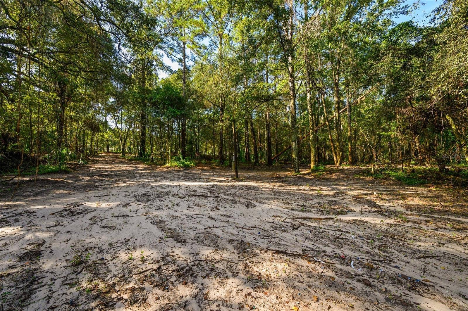 3426 SE 185TH AVENUE, Micanopy, FL 32667 3426 SE 185TH AVENUE, Micanopy, FL 32667