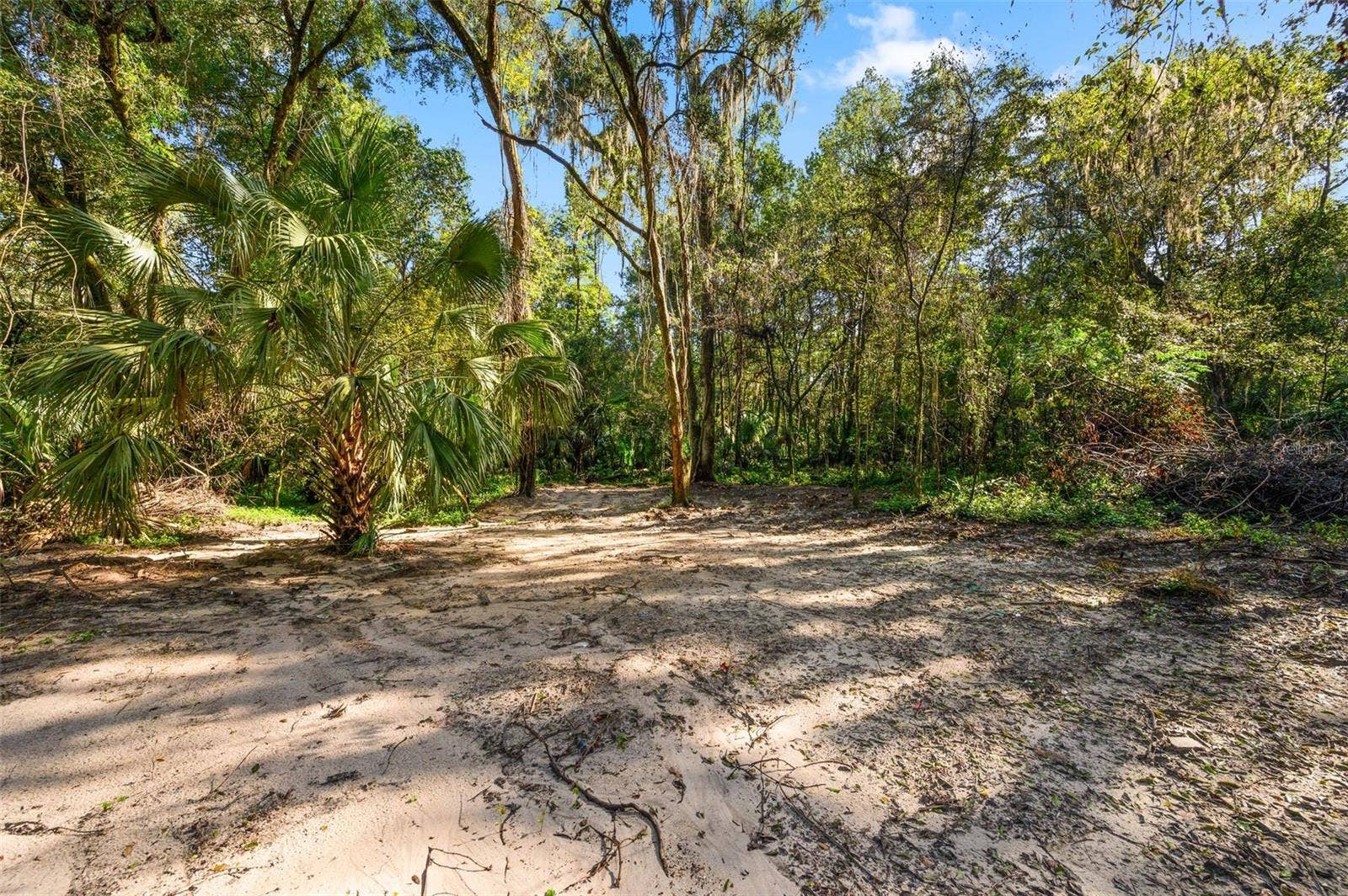 3426 SE 185TH AVENUE, Micanopy, FL 32667 3426 SE 185TH AVENUE, Micanopy, FL 32667