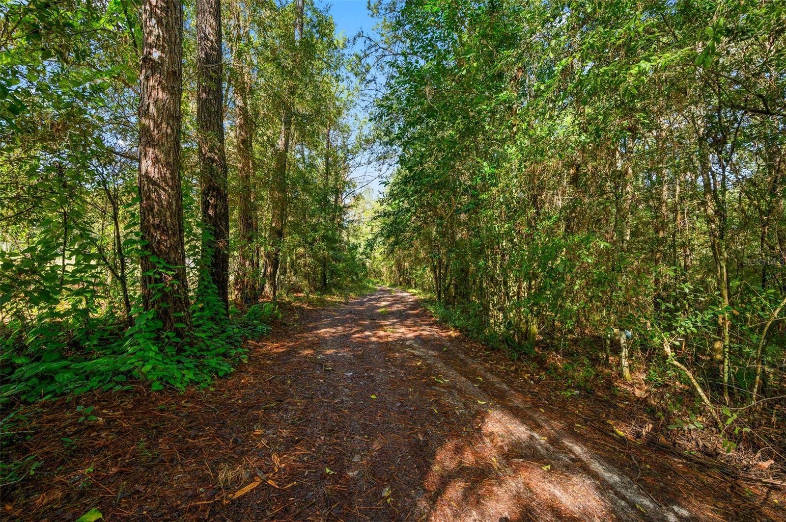3426 SE 185TH AVENUE, Micanopy, FL 32667 3426 SE 185TH AVENUE, Micanopy, FL 32667