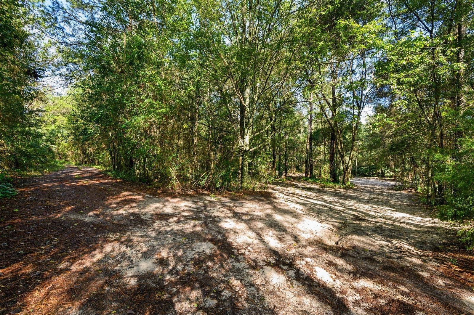 3426 SE 185TH AVENUE, Micanopy, FL 32667 3426 SE 185TH AVENUE, Micanopy, FL 32667