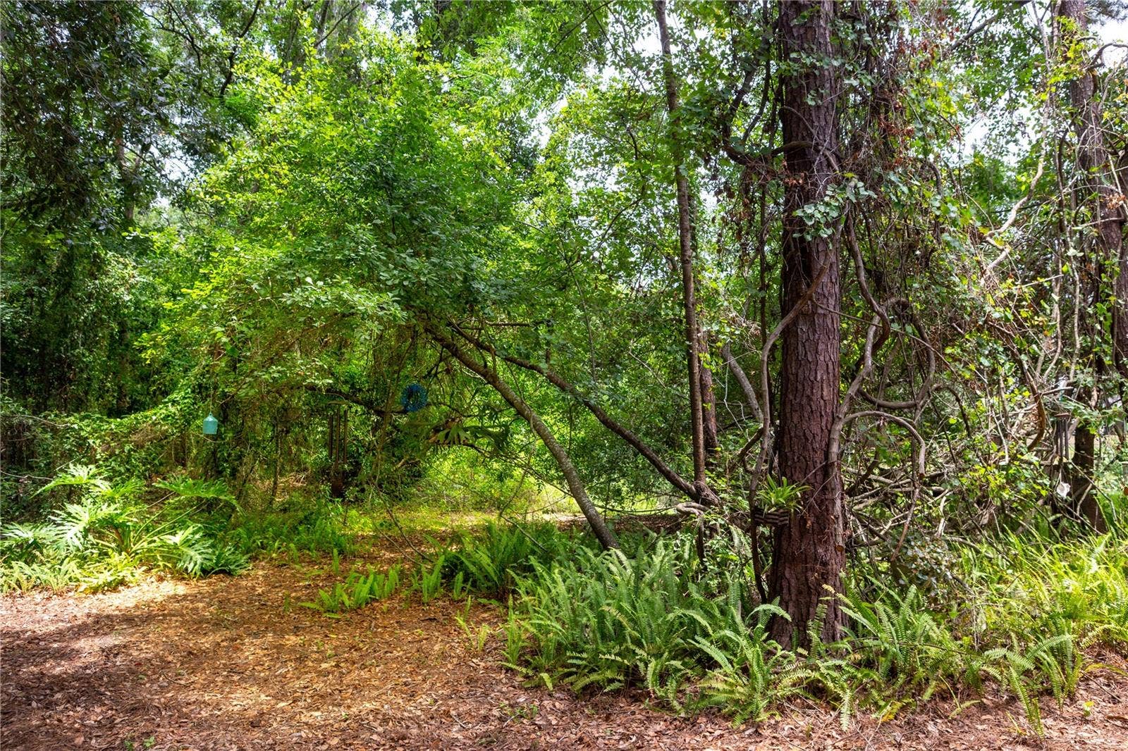 3938 NW 62ND LANE, Gainesville, FL 32653 3938 NW 62ND LANE, Gainesville, FL 32653