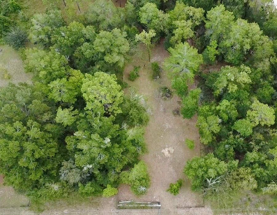 Property photo for 4717 NE 141ST AVENUE, Williston, FL
