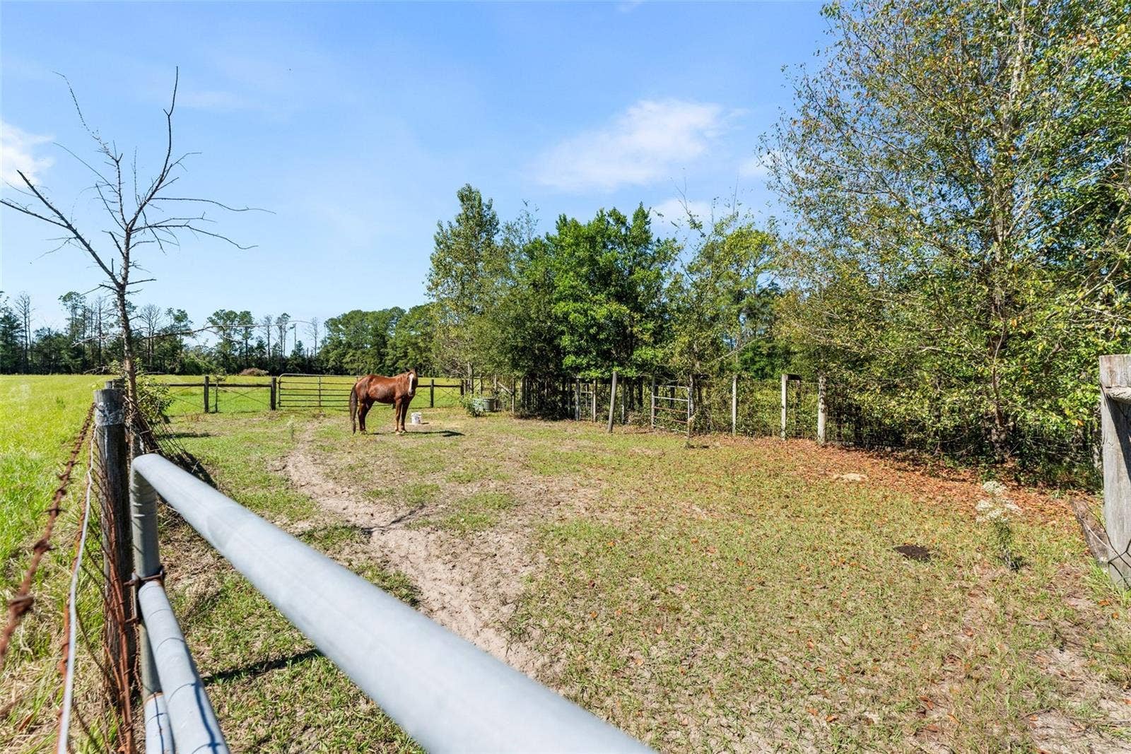 5804 NW 158TH STREET, Alachua, FL 32615
